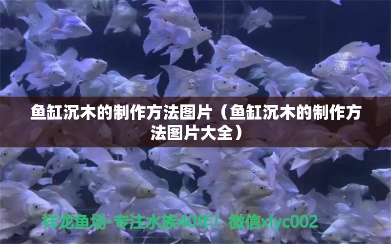 魚缸沉木的制作方法圖片（魚缸沉木的制作方法圖片大全） 其他品牌魚缸