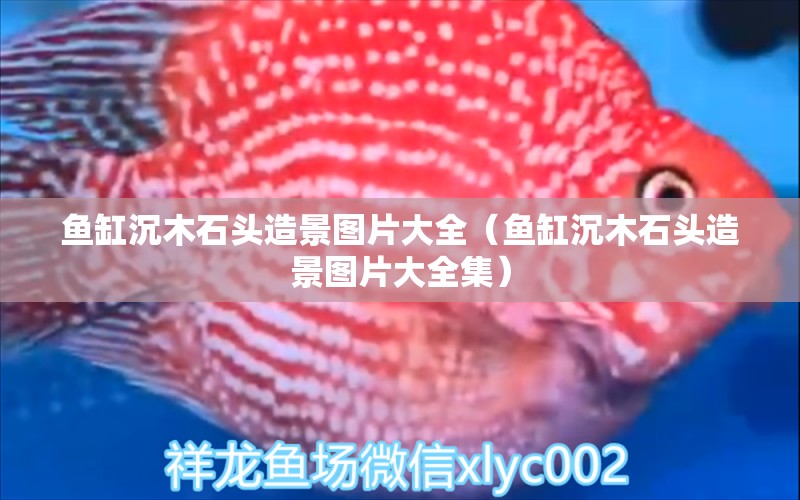 魚缸沉木石頭造景圖片大全（魚缸沉木石頭造景圖片大全集） 其他品牌魚缸