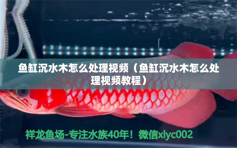 魚缸沉水木怎么處理視頻（魚缸沉水木怎么處理視頻教程） 其他品牌魚缸