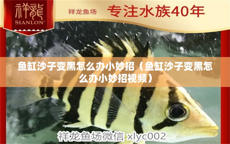 魚缸沙子變黑怎么辦小妙招（魚缸沙子變黑怎么辦小妙招視頻）