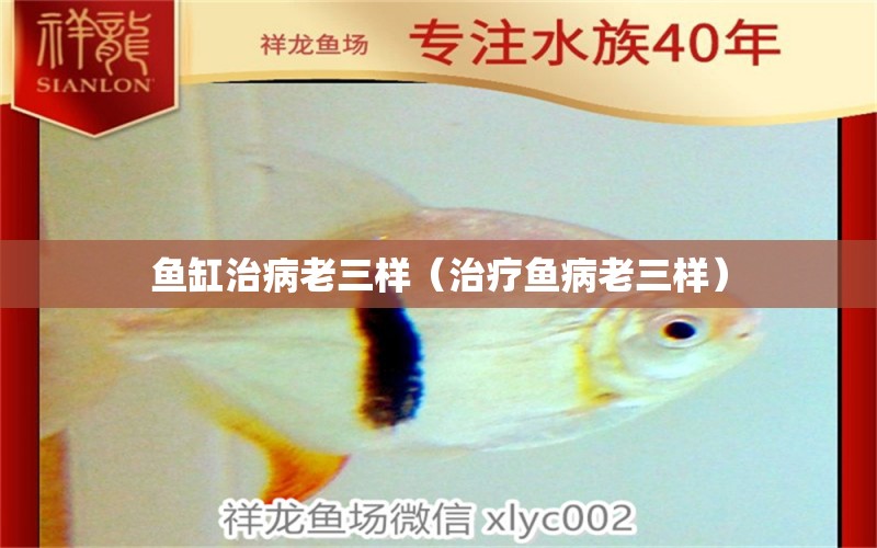 魚(yú)缸治病老三樣（治療魚(yú)病老三樣）