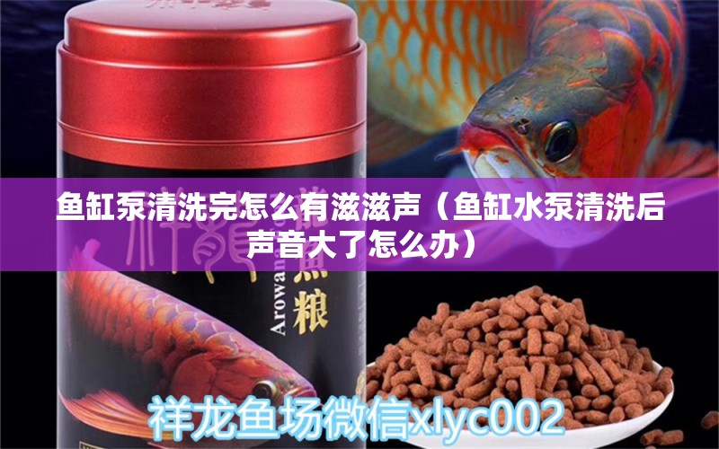 魚缸泵清洗完怎么有滋滋聲（魚缸水泵清洗后聲音大了怎么辦） 魚缸水泵