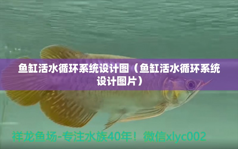 魚缸活水循環(huán)系統(tǒng)設(shè)計圖（魚缸活水循環(huán)系統(tǒng)設(shè)計圖片） 其他品牌魚缸