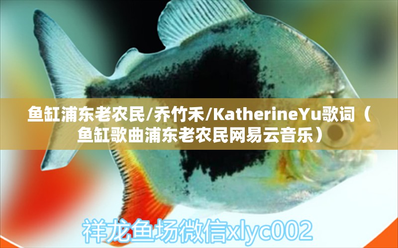 魚缸浦東老農民/喬竹禾/KatherineYu歌詞（魚缸歌曲浦東老農民網易云音樂）