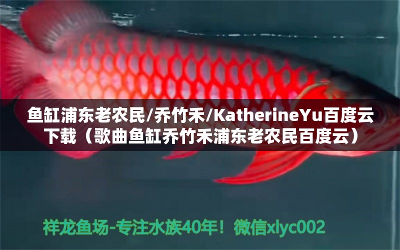 魚缸浦東老農民/喬竹禾/KatherineYu百度云下載（歌曲魚缸喬竹禾浦東老農民百度云）