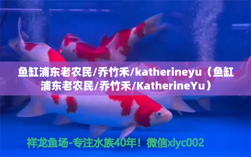 魚缸浦東老農民/喬竹禾/katherineyu（魚缸浦東老農民/喬竹禾/KatherineYu）