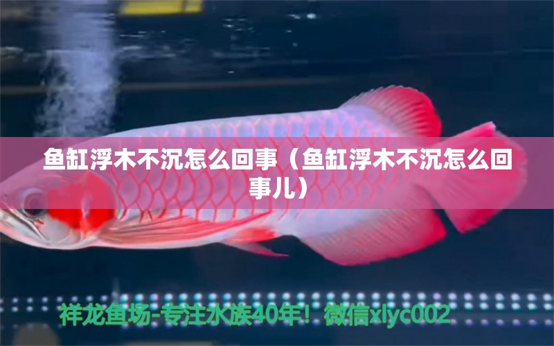 魚(yú)缸浮木不沉怎么回事（魚(yú)缸浮木不沉怎么回事兒）