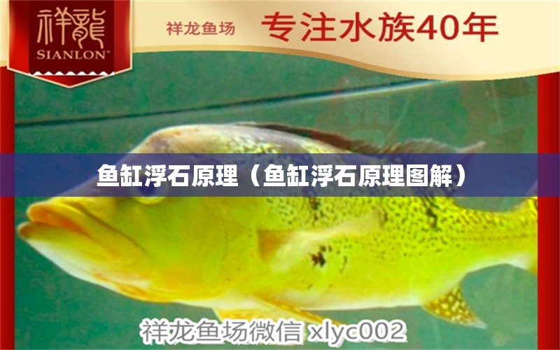 魚(yú)缸浮石原理（魚(yú)缸浮石原理圖解）