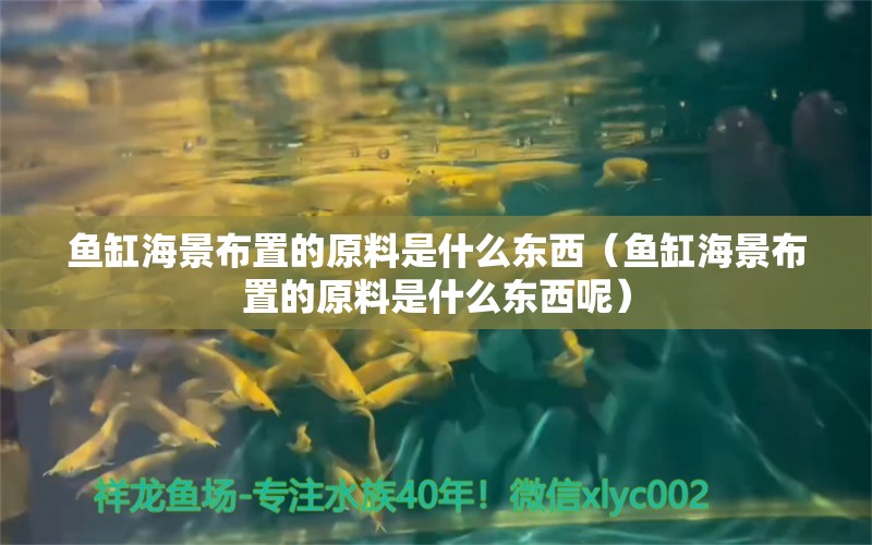 魚缸海景布置的原料是什么東西（魚缸海景布置的原料是什么東西呢）