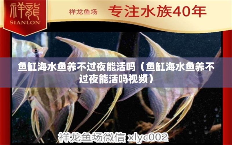 魚(yú)缸海水魚(yú)養(yǎng)不過(guò)夜能活嗎（魚(yú)缸海水魚(yú)養(yǎng)不過(guò)夜能活嗎視頻）