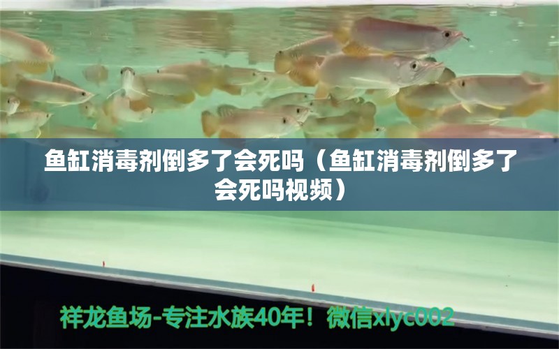 魚(yú)缸消毒劑倒多了會(huì)死嗎（魚(yú)缸消毒劑倒多了會(huì)死嗎視頻）