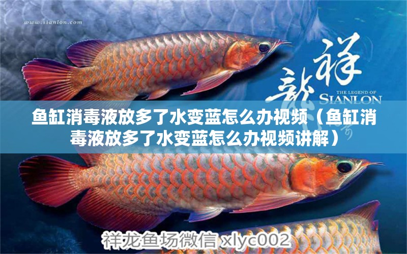 魚缸消毒液放多了水變藍(lán)怎么辦視頻（魚缸消毒液放多了水變藍(lán)怎么辦視頻講解）