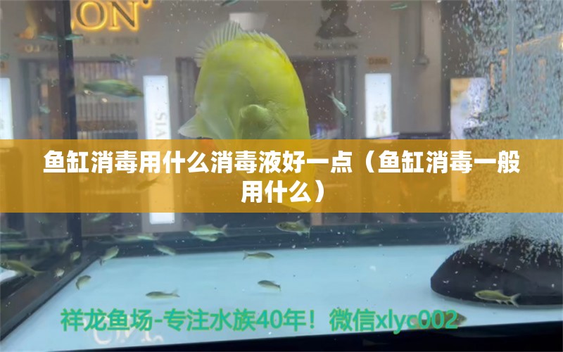 魚缸消毒用什么消毒液好一點（魚缸消毒一般用什么）