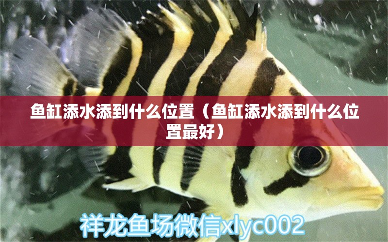 魚缸添水添到什么位置（魚缸添水添到什么位置最好） 其他品牌魚缸