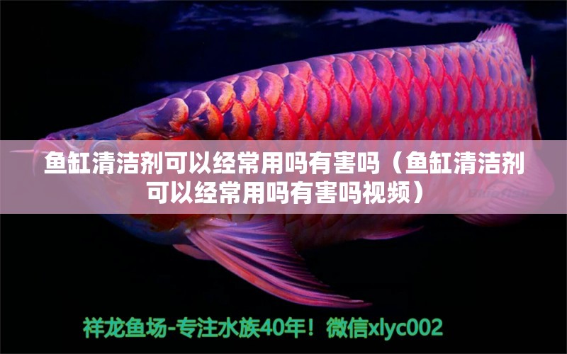 魚缸清潔劑可以經(jīng)常用嗎有害嗎（魚缸清潔劑可以經(jīng)常用嗎有害嗎視頻）