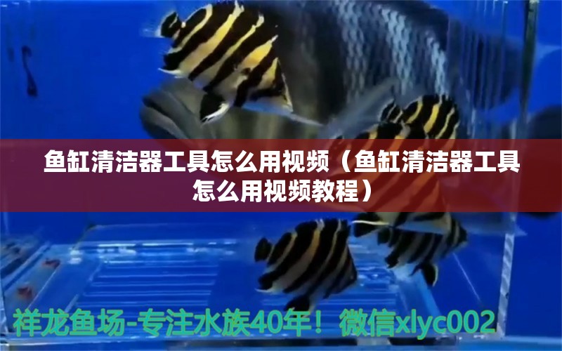 魚缸清潔器工具怎么用視頻（魚缸清潔器工具怎么用視頻教程）