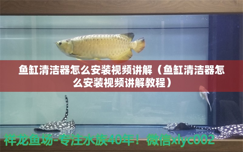 魚缸清潔器怎么安裝視頻講解（魚缸清潔器怎么安裝視頻講解教程）