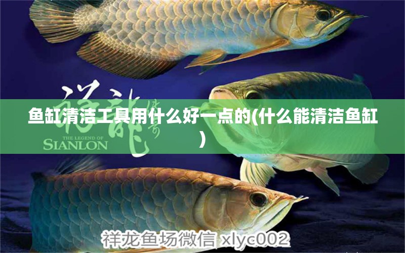 魚缸清潔工具用什么好一點(diǎn)的(什么能清潔魚缸) 超血紅龍魚 第1張