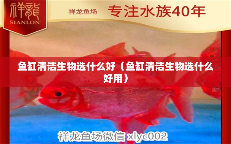 魚缸清潔生物選什么好（魚缸清潔生物選什么好用）