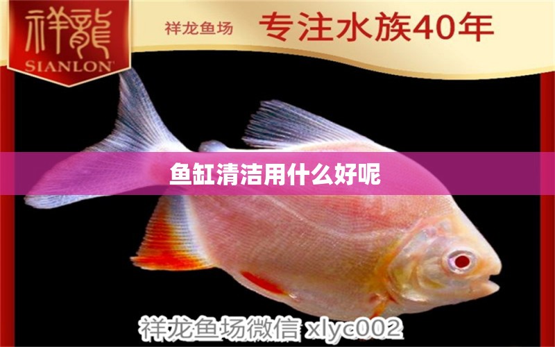 魚缸清潔用什么好呢  祥龍超血紅龍魚