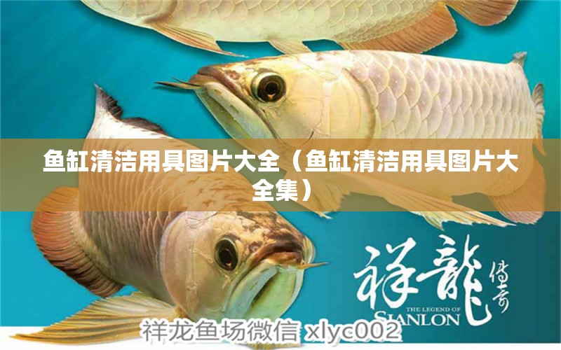 魚缸清潔用具圖片大全（魚缸清潔用具圖片大全集）