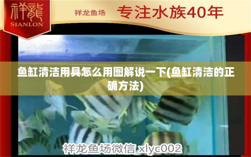 魚缸清潔用具怎么用圖解說一下(魚缸清潔的正確方法) 水族世界 第1張