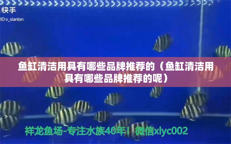 魚缸清潔用具有哪些品牌推薦的（魚缸清潔用具有哪些品牌推薦的呢）