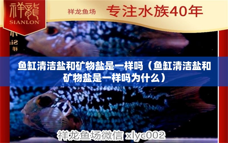 魚缸清潔鹽和礦物鹽是一樣嗎（魚缸清潔鹽和礦物鹽是一樣嗎為什么）