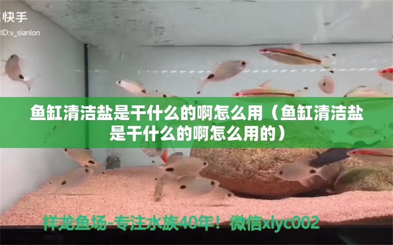 魚缸清潔鹽是干什么的啊怎么用（魚缸清潔鹽是干什么的啊怎么用的）