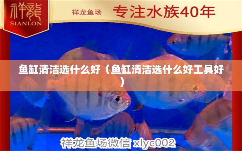 魚缸清潔選什么好（魚缸清潔選什么好工具好）