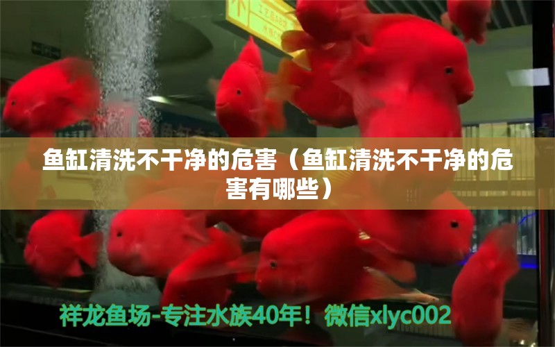 魚(yú)缸清洗不干凈的危害（魚(yú)缸清洗不干凈的危害有哪些）