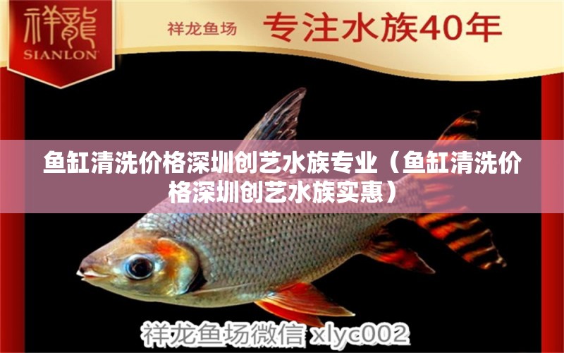 魚缸清洗價格深圳創(chuàng)藝水族專業(yè)（魚缸清洗價格深圳創(chuàng)藝水族實惠） 祥龍水族醫(yī)院