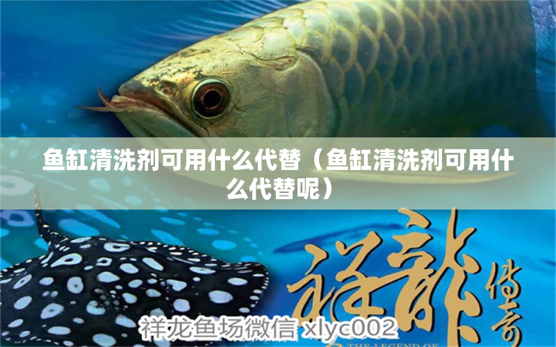 魚缸清洗劑可用什么代替（魚缸清洗劑可用什么代替呢）