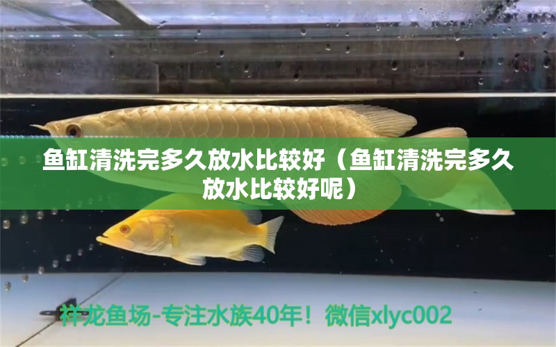 魚缸清洗完多久放水比較好（魚缸清洗完多久放水比較好呢） 祥龍水族醫(yī)院