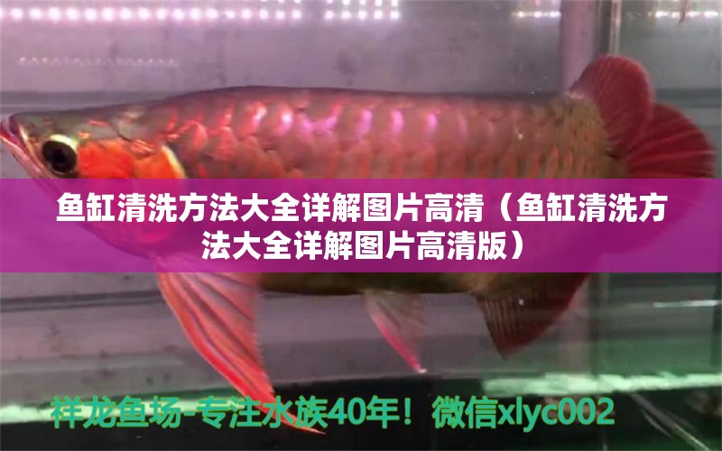 魚缸清洗方法大全詳解圖片高清（魚缸清洗方法大全詳解圖片高清版） 白子金龍魚