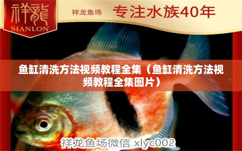 魚(yú)缸清洗方法視頻教程全集（魚(yú)缸清洗方法視頻教程全集圖片） 豹紋夫魚(yú)苗