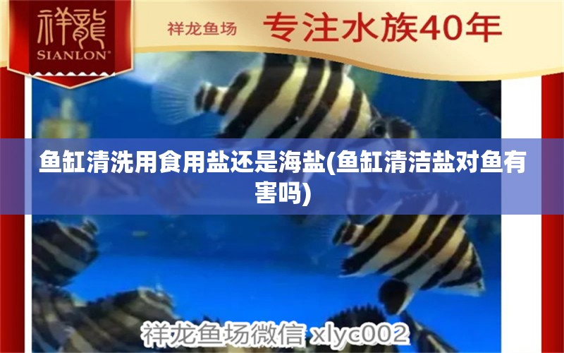 魚缸清洗用食用鹽還是海鹽(魚缸清潔鹽對魚有害嗎)