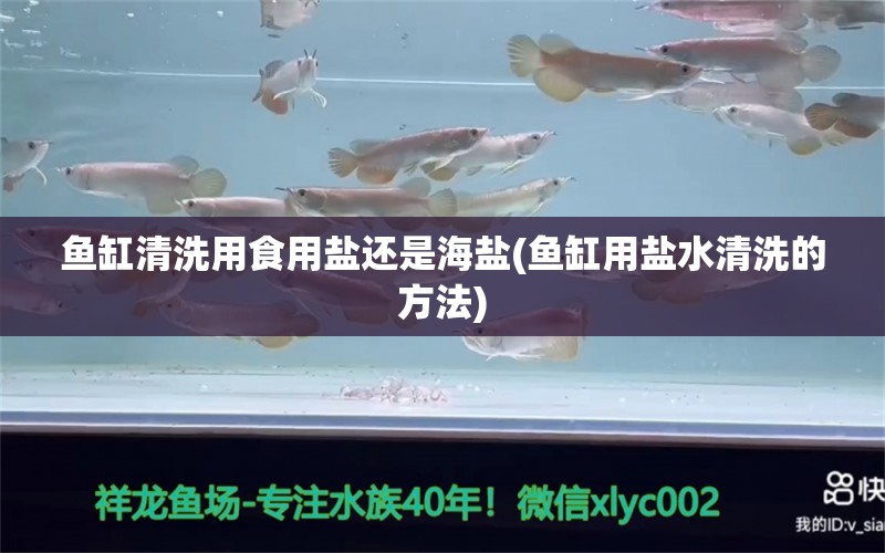 魚缸清洗用食用鹽還是海鹽(魚缸用鹽水清洗的方法) 白化火箭 第1張