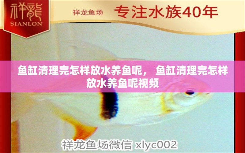 魚缸清理完怎樣放水養(yǎng)魚呢， 魚缸清理完怎樣放水養(yǎng)魚呢視頻