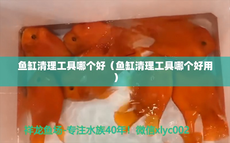 魚缸清理工具哪個好（魚缸清理工具哪個好用）