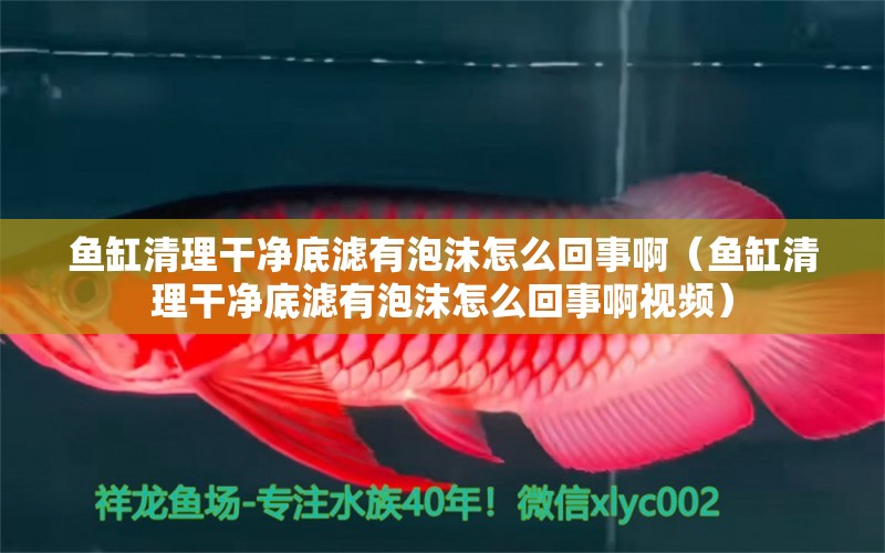 魚缸清理干凈底濾有泡沫怎么回事?。~缸清理干凈底濾有泡沫怎么回事啊視頻）