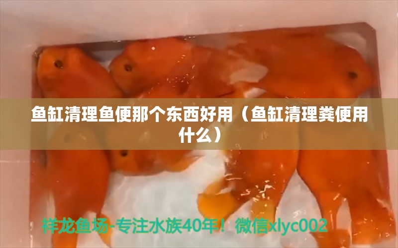 魚缸清理魚便那個東西好用（魚缸清理糞便用什么）