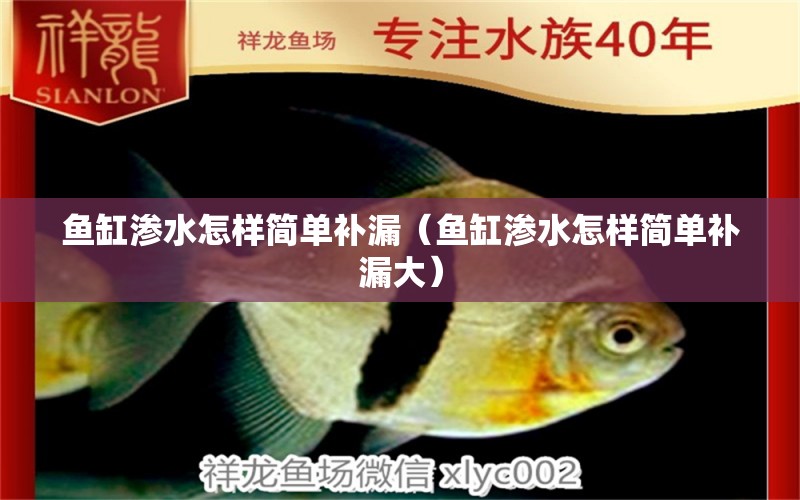 魚缸滲水怎樣簡單補漏（魚缸滲水怎樣簡單補漏大）