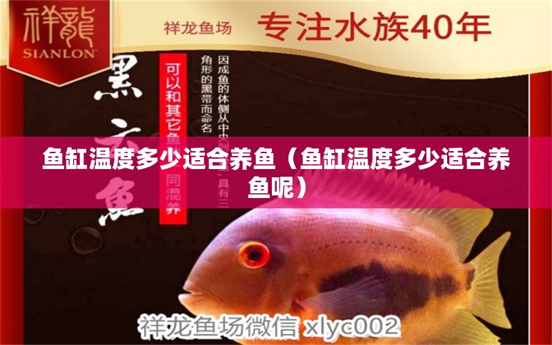 魚缸溫度多少適合養(yǎng)魚（魚缸溫度多少適合養(yǎng)魚呢） 量子養(yǎng)魚技術(shù)