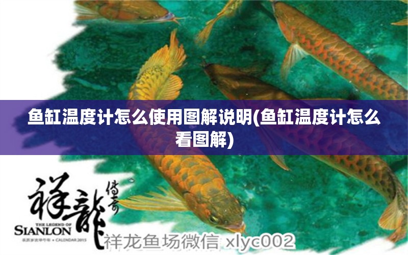 魚缸溫度計(jì)怎么使用圖解說明(魚缸溫度計(jì)怎么看圖解)