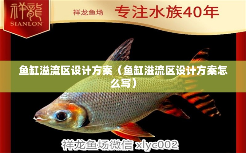 魚(yú)缸溢流區(qū)設(shè)計(jì)方案（魚(yú)缸溢流區(qū)設(shè)計(jì)方案怎么寫(xiě)）