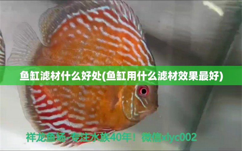 魚缸濾材什么好處(魚缸用什么濾材效果最好) 祥龍龍魚魚糧