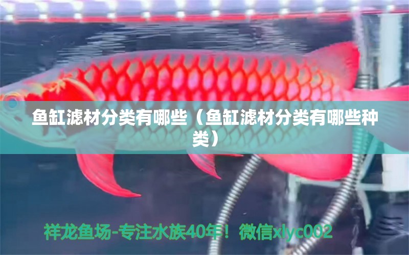 魚缸濾材分類有哪些（魚缸濾材分類有哪些種類）