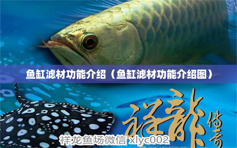 魚缸濾材功能介紹（魚缸濾材功能介紹圖） PH調節(jié)劑