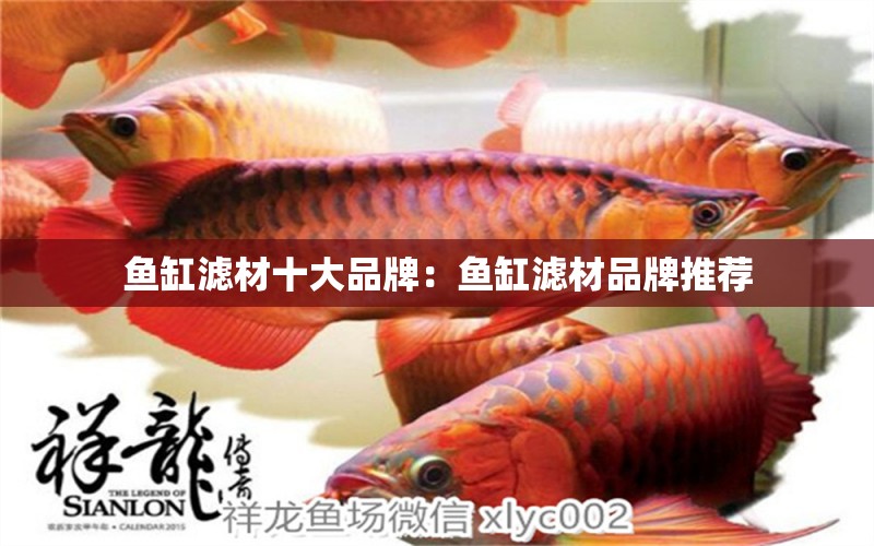 魚缸濾材十大品牌：魚缸濾材品牌推薦